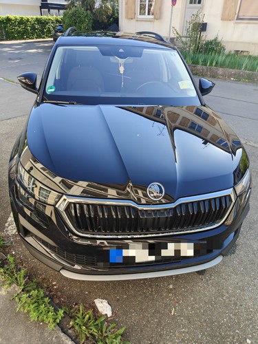 Skoda kodiaq tour tdi 110 - tour,