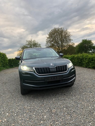 Skoda kodiaq drive 190 mit - ps,