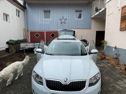 Skoda octavia - skoda,